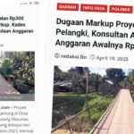 Jembatan Desa Pelangki 2