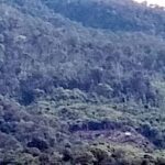 WhatsApp Image 2025-11-18 at 13.35.13