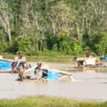 Screenshot_20260319_152421_Gallery-750x375